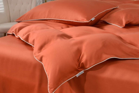 a3d010e7-97d4-49b0-b467-355a41b8e4ba